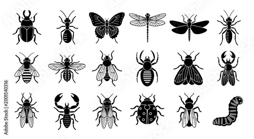 Insects line art set with various species and detailed illustrations featuring beetle, ant, butterfly with dragonfly and fly elements for wasp,