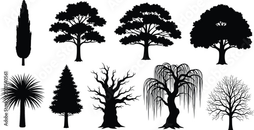 Set of tree silhouettes vector collection including pine palm oak willow and bare trees isolated on white background