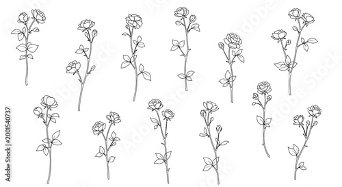 Flower branch line icons set with delicate doodle petals and thin stems for botanical design and stickers