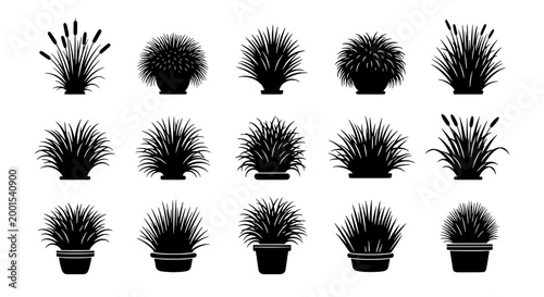 Plants potted set with various leaf shapes and textures in black and white featuring botanical, nature, garden with greenery and foliage elements for
