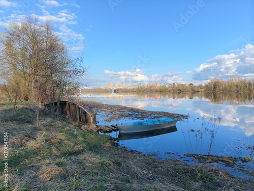 summer landscape by the river