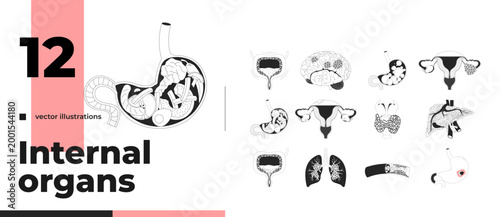 Human internal organs and health conditions outline illustrations bundle. Food stomach. Blood vessel. Medicine. Cancer tumor 2D linear images isolated. Collection black and white vector drawings