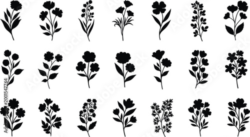Collection of black silhouette floral sprigs and flowers on white background