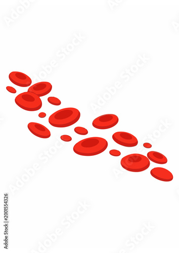 Red blood cells and leukocytes illustration showing hematology microscopic view components.