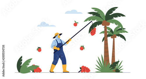Agricultural worker in protective gear uses a long harvesting tool to collect ripe fruit from tall tropical palm trees in a field.