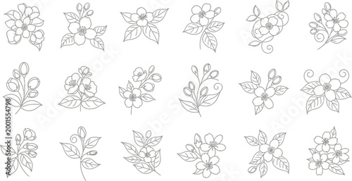 Collection of delicate line cherry blossom and leaf sprigs flower floral branch