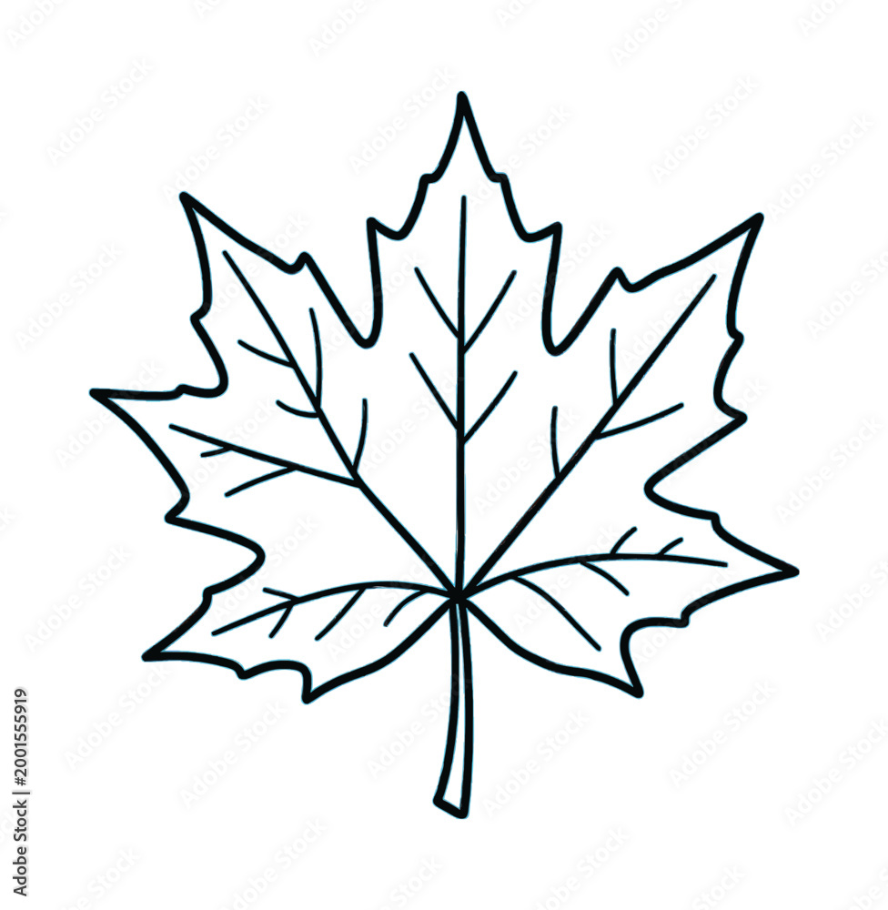 Obraz premium Stylized Leaf Outline Icon Illustration Vector Design