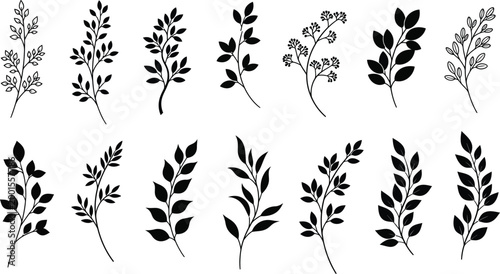 Collection of twelve black silhouette botanical branches with leaves and berries leaf plant nature