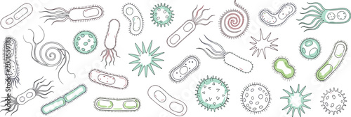 Hand drawn bacteria and microorganisms set with detailed sketches illustrating microbiology, scientific research, infection concepts, and medical vector illustration