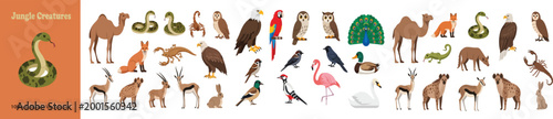 Jungle Creatures vector collection, wild animal and bird illustrations set, exotic desert and safari fauna icons for educational nature design
