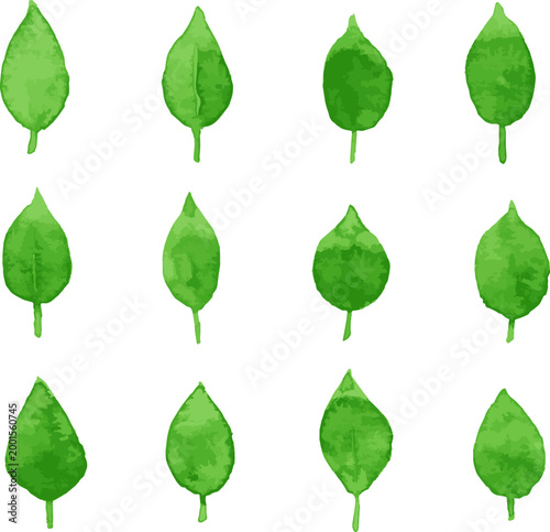 緑の木の葉による素材セット　水彩　
