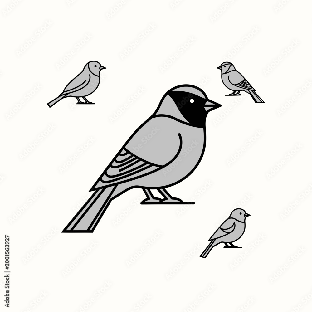 Fototapeta premium Group of Sparrows, Leader Bird, Vector Illustration, Simple Line Art, Clean Background