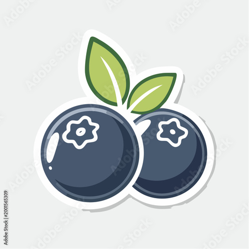 Stylized illustration of two blueberries with leaves