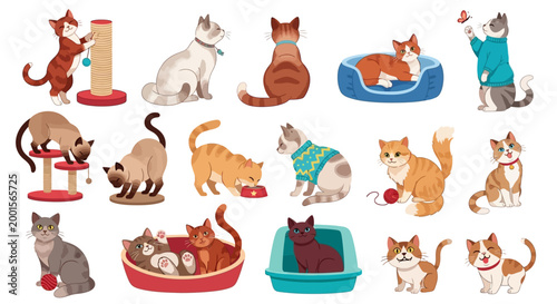 Cute cat icons, feline illustrations, 16 cat graphics, pet clip art, colorful animal set