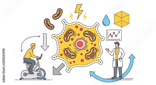 Immunology, microbiology illustration, white background, educational vector graphic, health and medical concept, scientific chart