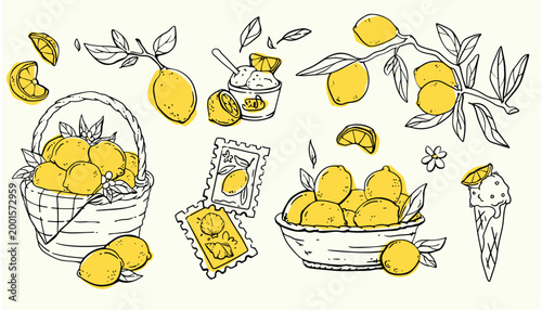 Sketch set of lemon branches and cutrus desserts. Vector set of Italian fruit ice cream, basket with lemons, retro stamps with doodle design, Amalfi coast pattern for vintage poster, seaside postcard