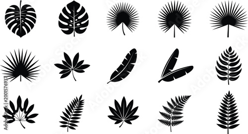 Black silhouettes of various tropical leaves and feathers on white background