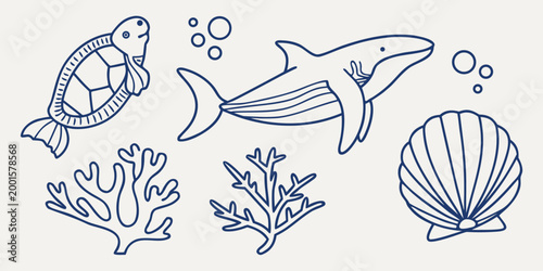 marine life line art illustrations on light background high quality professional detailed