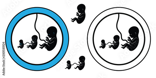 Medical icon fetal development stages illustration embryo growth and prenatal care concepts