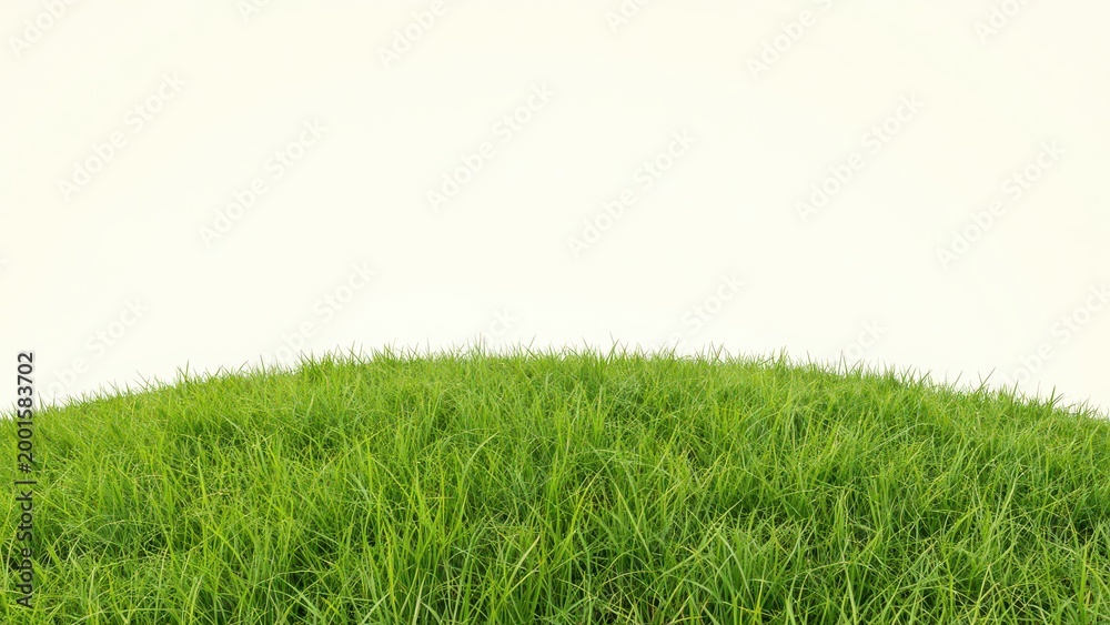 Fototapeta premium Green Grass Sphere on White Background