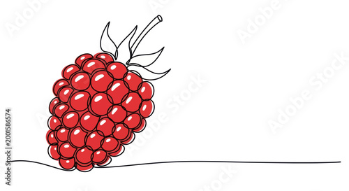 Single Raspberry Drawn in Continuous Line Art Style, Red Fruit Illustration
