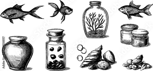 Assorted fish jars and shells drawn in vintage engraving style