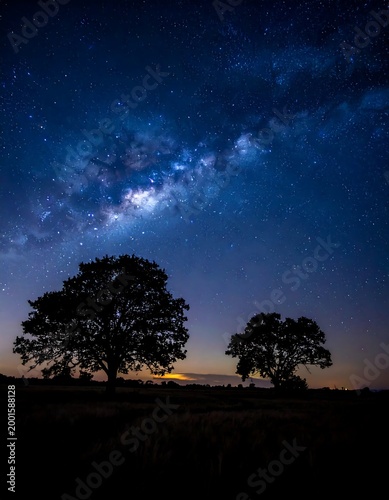 Silhouetted trees under a vibrant night sky filled with the Milky Way