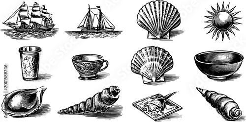 Nautical shells and sailing vessels arranged on white background