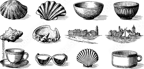 Coastal shells and seaside objects grouped on white background