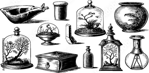 Glass domes and botanical bottles with book on surface