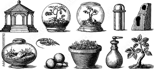Gazebo terrariums and potted plants arranged on surface