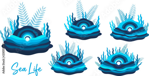Underwater sea life vector collection, blue coral reef and marine plants set, stylized ocean floor flora with seaweed and shells for aquatic design