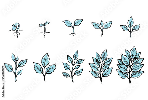 Leaf Icon Set – Hand Drawn Botanical Nature Vector Pack
