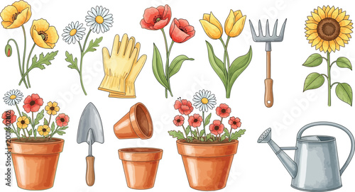 Gardening tools and flowers, potted plants, watering can, rake, trowel, gloves