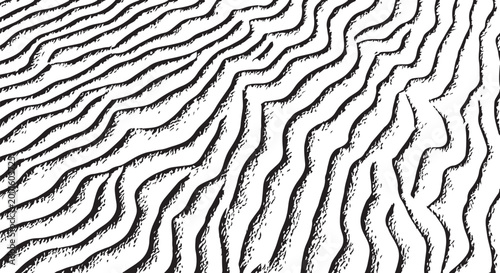 Black and white zebra print pattern, animal texture background, monochrome stripes design, abstract vector illustration