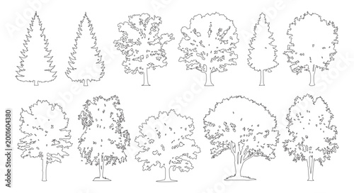 Foto Minimal style cad mixed spruce and broadleaf tree line drawing, Side view, set of graphics trees elements outline symbol for architecture landscape design