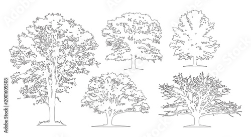 Bild auf Leinwand Minimal style cad spreading broadleaf tree line drawing, Side view, set of graphics trees elements outline symbol for architecture landscape design