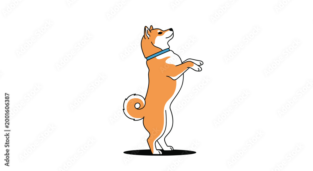 Fototapeta premium Happy Shiba Inu dog stands on its hind legs with a blue collar, looking upwards in a cheerful and playful illustration on a white background.