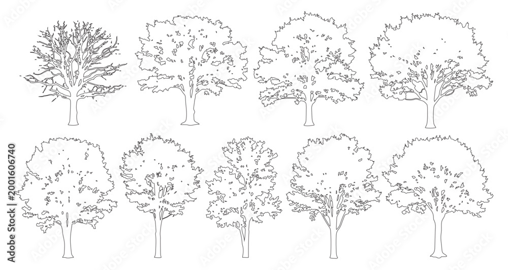 Obraz premium Minimal style cad deciduous tree line drawing, Side view, set of graphics trees elements outline symbol for architecture landscape design. Vector illustration. outdoor forest garden section