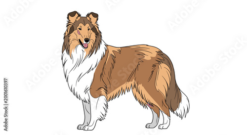 Long-haired collie dog standing in a classic profile view, highlighting its beautiful coat and intelligent expression in a detailed illustration.