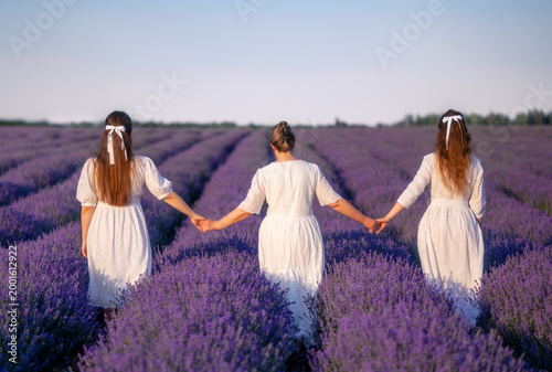 A happy family, mom and daughters walking through a lavender field. Rear view. In white dresses at sunset