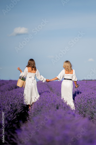 two girls on a lavender field. Rear view. In white dresses