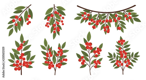 Various branches with bright red berries and green leaves are shown in a decorative set, ideal for seasonal and botanical holiday designs.