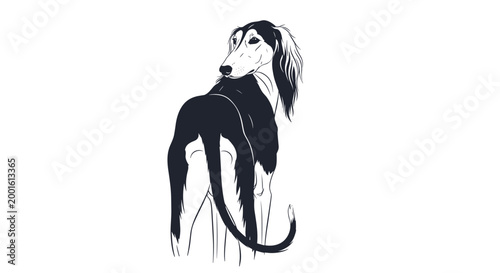 Elegant long-haired sighthound stands with its back to the viewer, looking over its shoulder in a black and white line illustration.