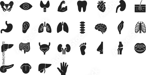 Collection of human organs and body parts icons for medical and anatomical illustration and healthcare design.