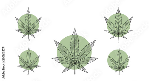 Set of five marijuana leaf sketches is presented with green circular backdrops, highlighting botanical structures in a clean graphic style.
