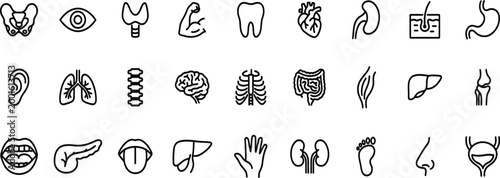 Collection of black line art human organs and body parts icons for medical and anatomical illustration and healthcare design.