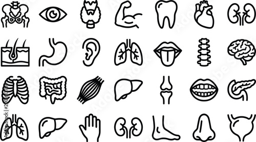 Set of black outline human organs and body parts icons for medical and anatomical illustration and healthcare design.
