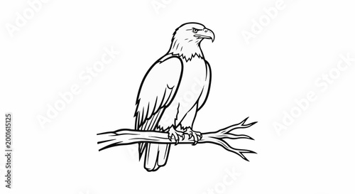 An illustrated bald eagle perches proudly on a bare branch against a white background