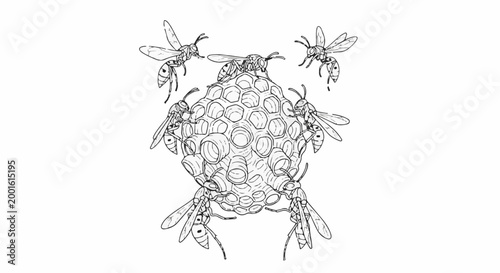 Bees tending to a large hexagonal honeycomb structure